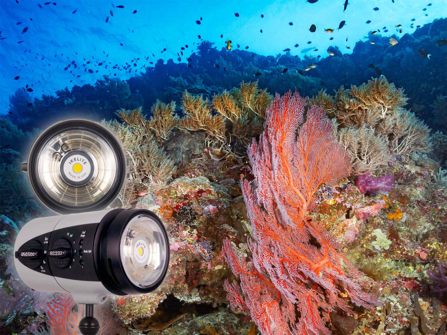 In Palau with the RC232 Hybrid Fiber Optic Strobe with Video Light