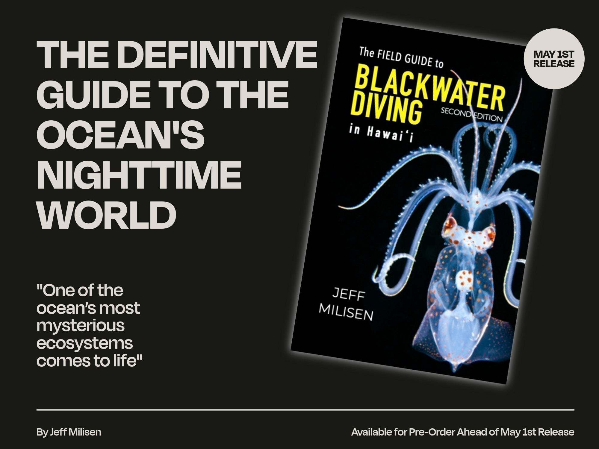 New Release: Jeff Milisen's Latest Book Reveals Mysteries of Blackwater Diving Blackwater image