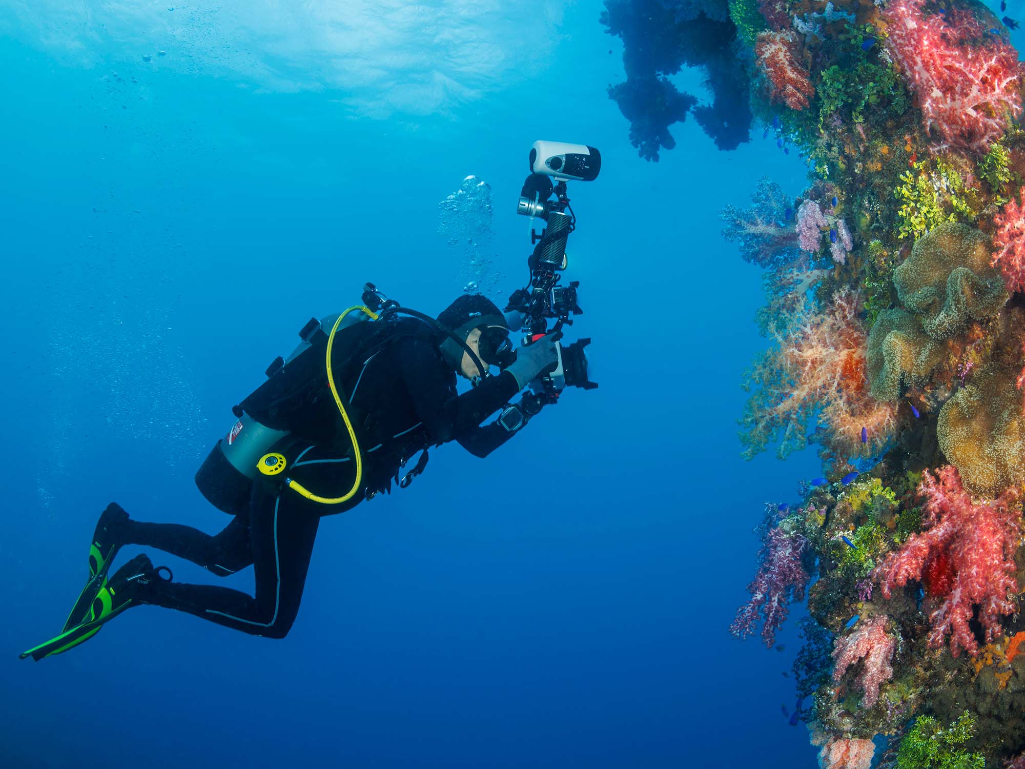 Diving the Ghost Fleet: Descending into History in Truk Lagoon Jennifer Ross shooting coral underwater in Truk Lagoon image by David Fleetham