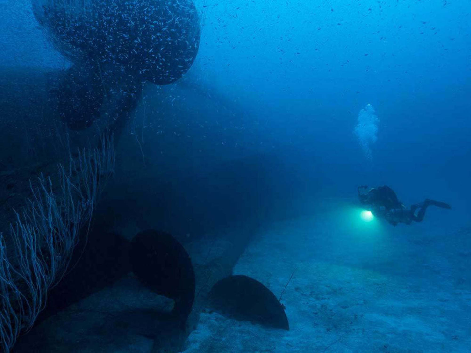 Diving Bikini Atoll and the Legacy of US Nuclear Testing [VIDEO]