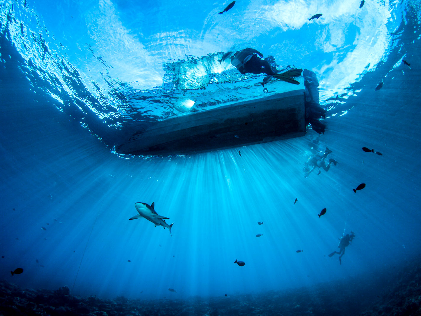 Streaming Light Rays Underwater Camera Settings