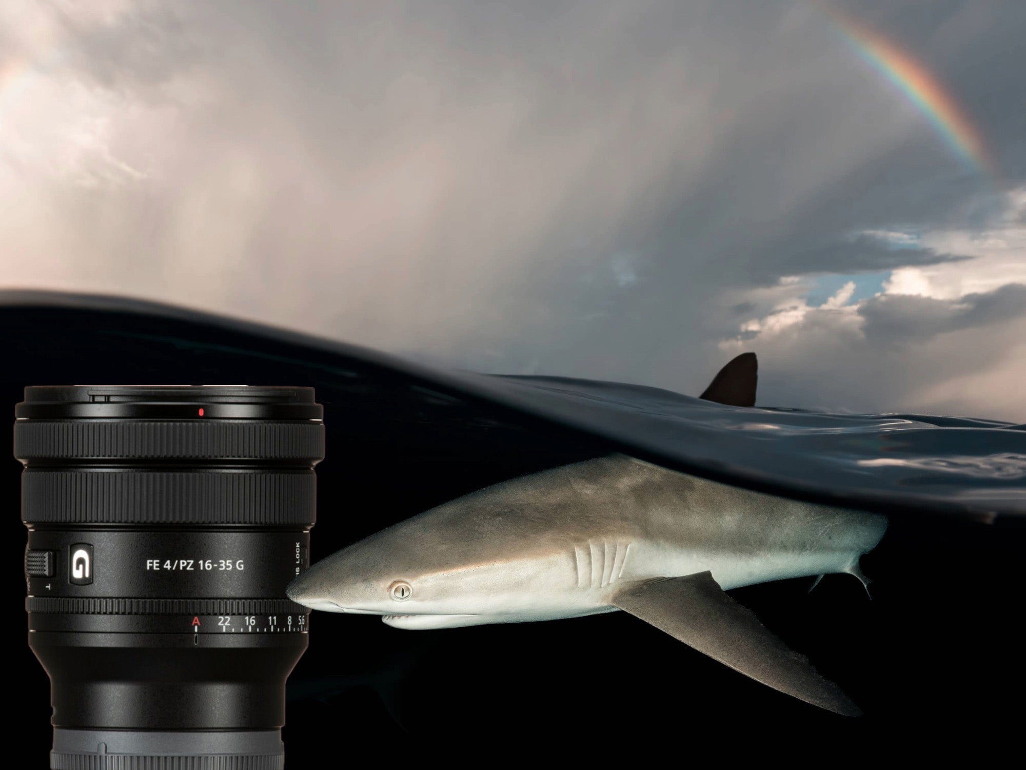 Sony FE PZ 16-35mm F/4 G Lens Underwater Photo Gallery