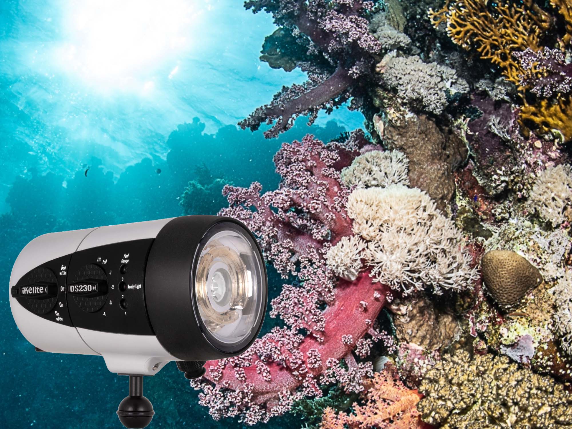Lighting the Depths: Hands-On With the DS230 Strobes