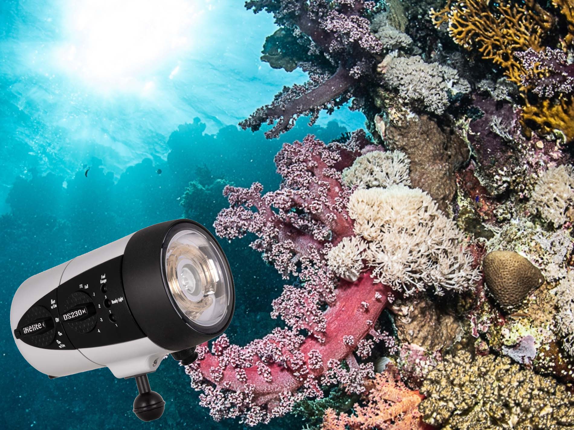 Lighting the Depths: Hands-On With the DS230 Strobes