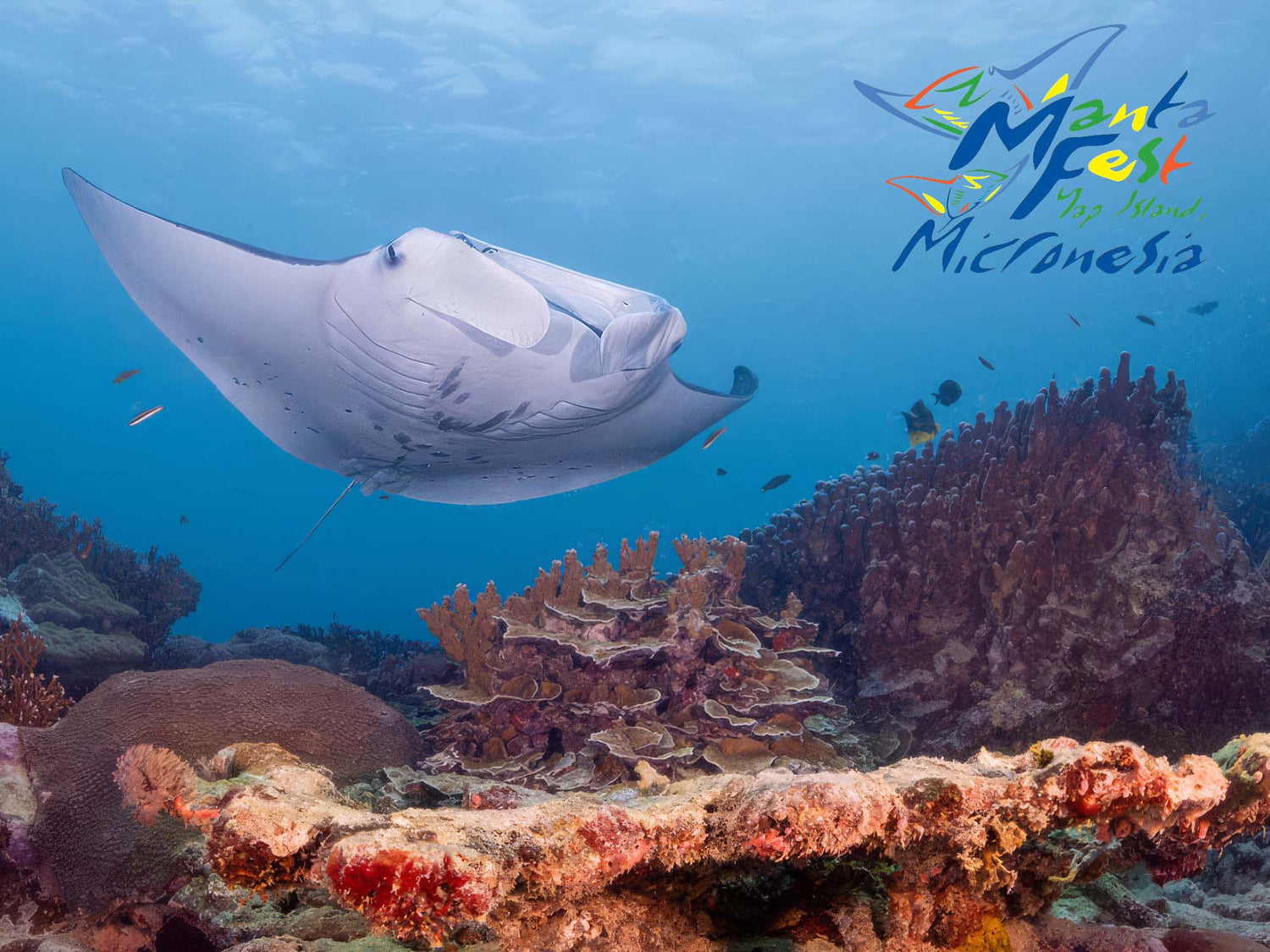 Event | MantaFest 2026 | Yap, Micronesia August 22 - September 6, 2026