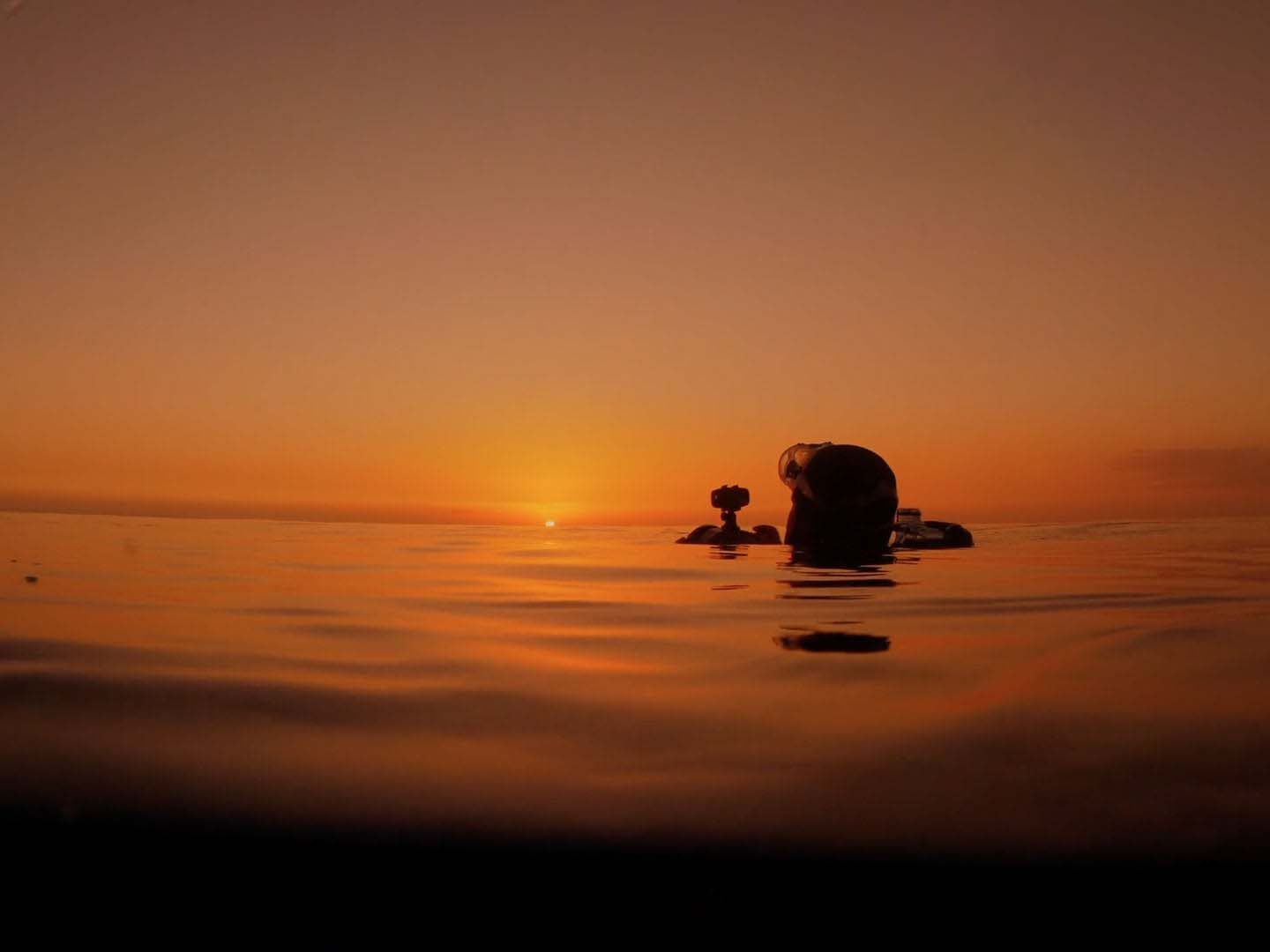 Under Pressure | The Art of Underwater Filming with Matt Jacobs [VIDEO]