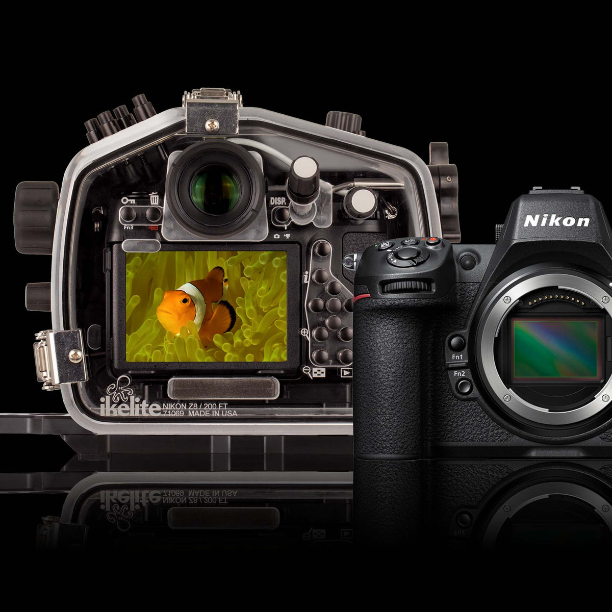 Nikon Z8 Underwater Housing Features & First Impressions [VIDEO]