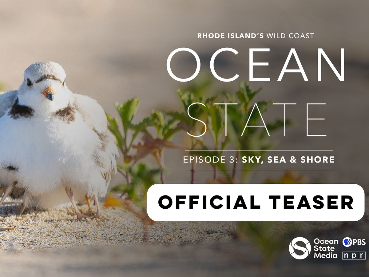 Ocean State: Rhode Island's Wild Coast Episode 3 Trailer [VIDEO]