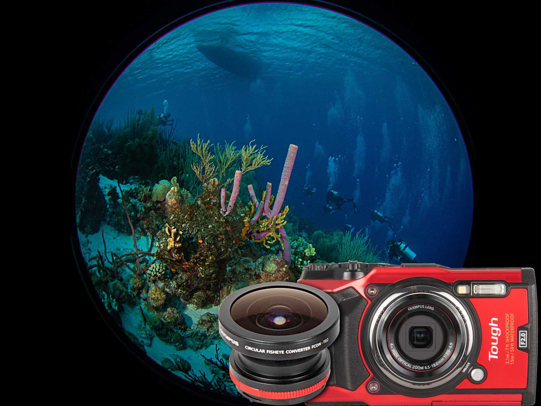 Olympus FCON-T02 Circular Fisheye and Tough TG-6 Underwater Photos