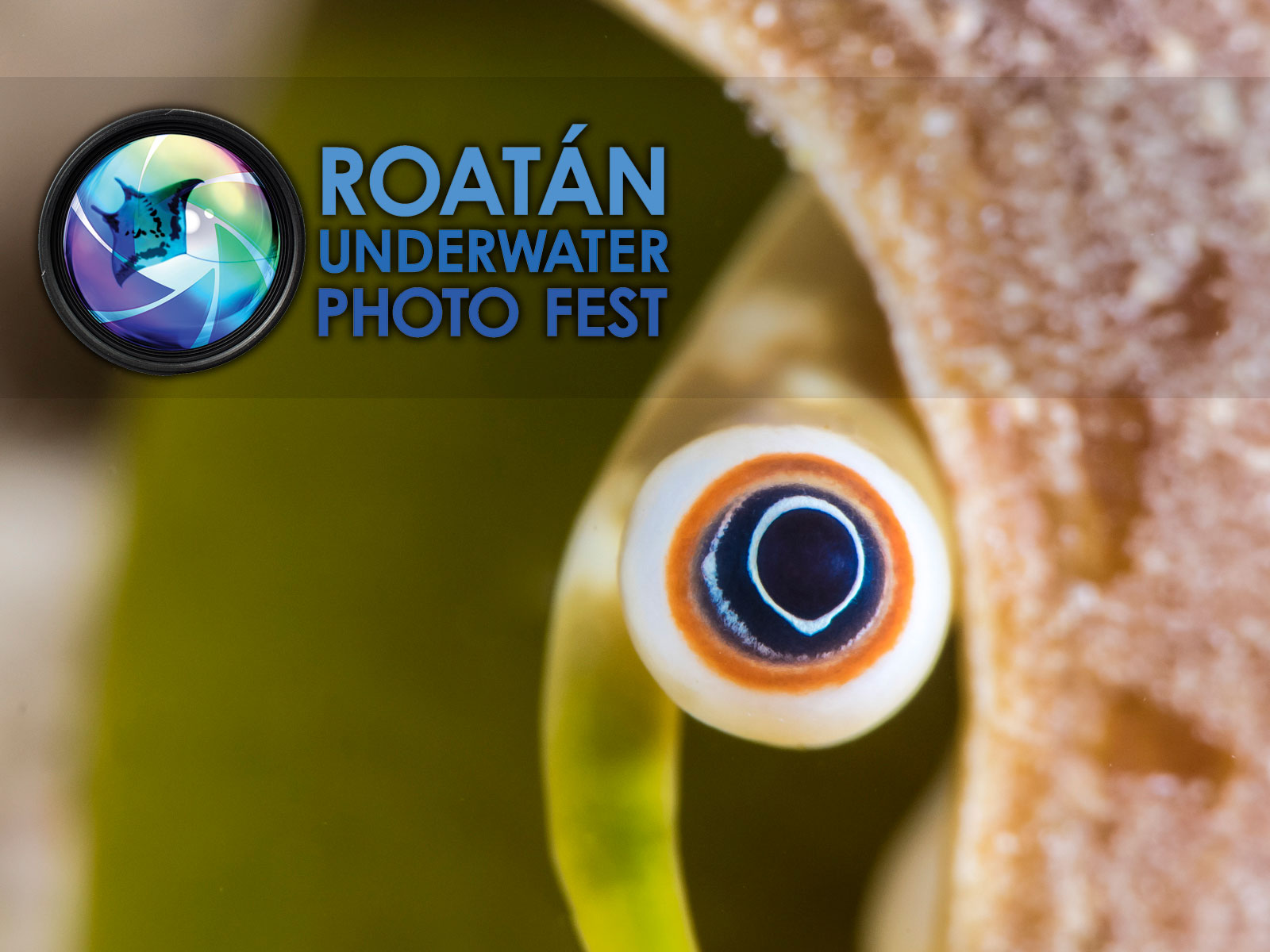 2018 Roatán Underwater Photo Fest Trip Report
