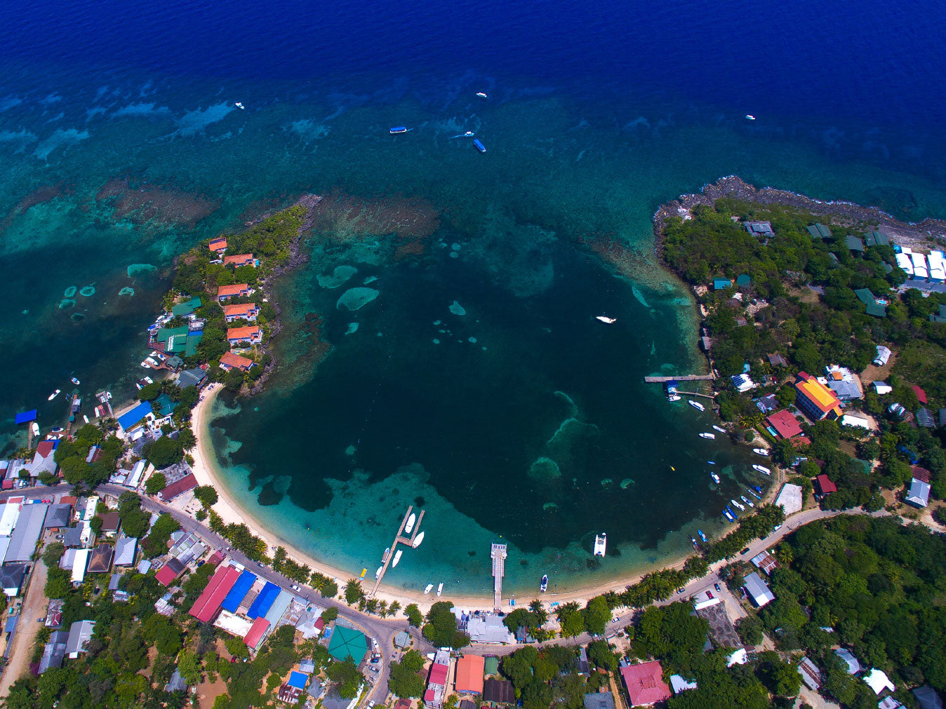An Insider's Guide to Diving Roatan, Bay Islands