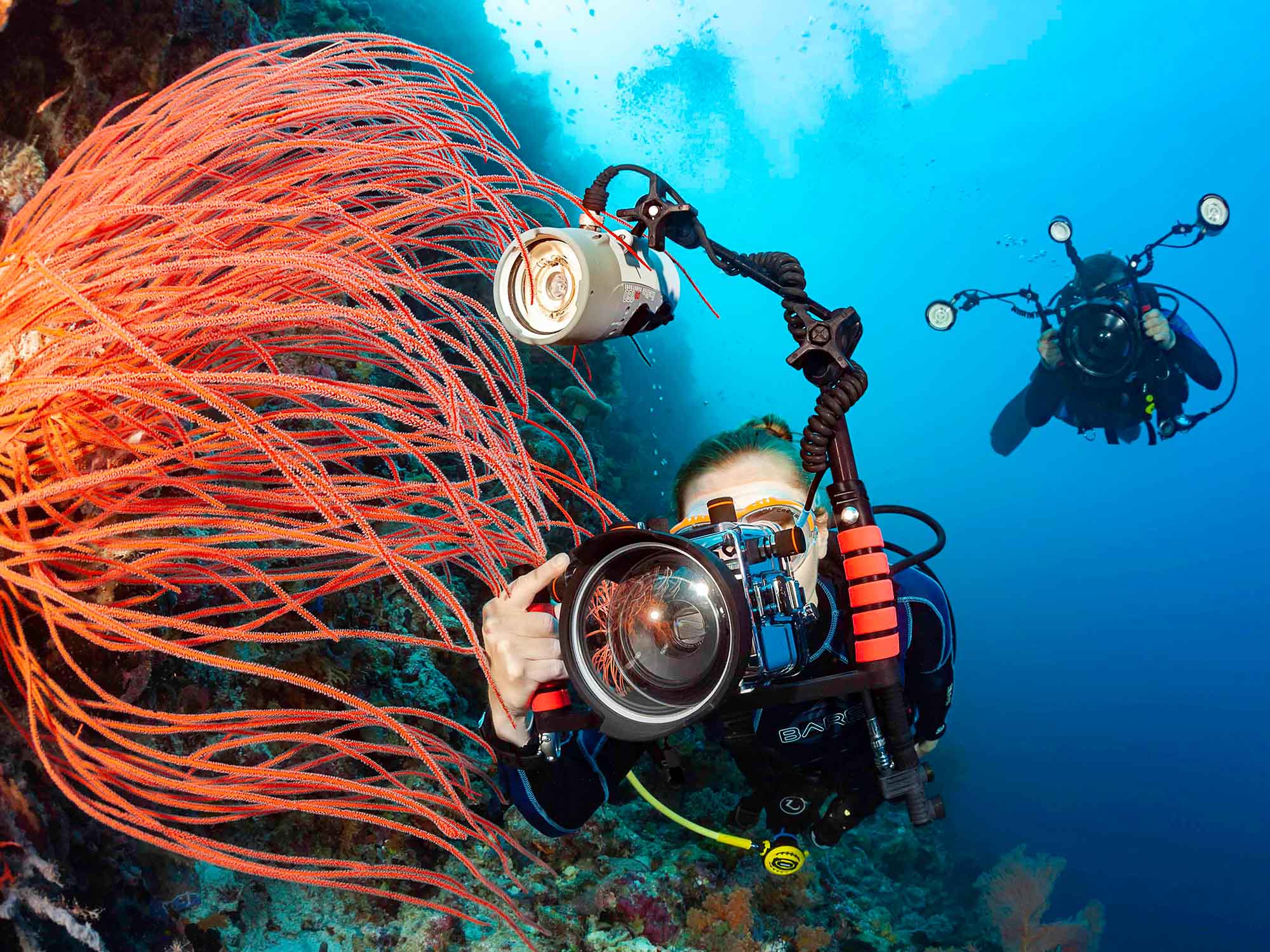 Shooting Underwater with a Single Strobe Flash