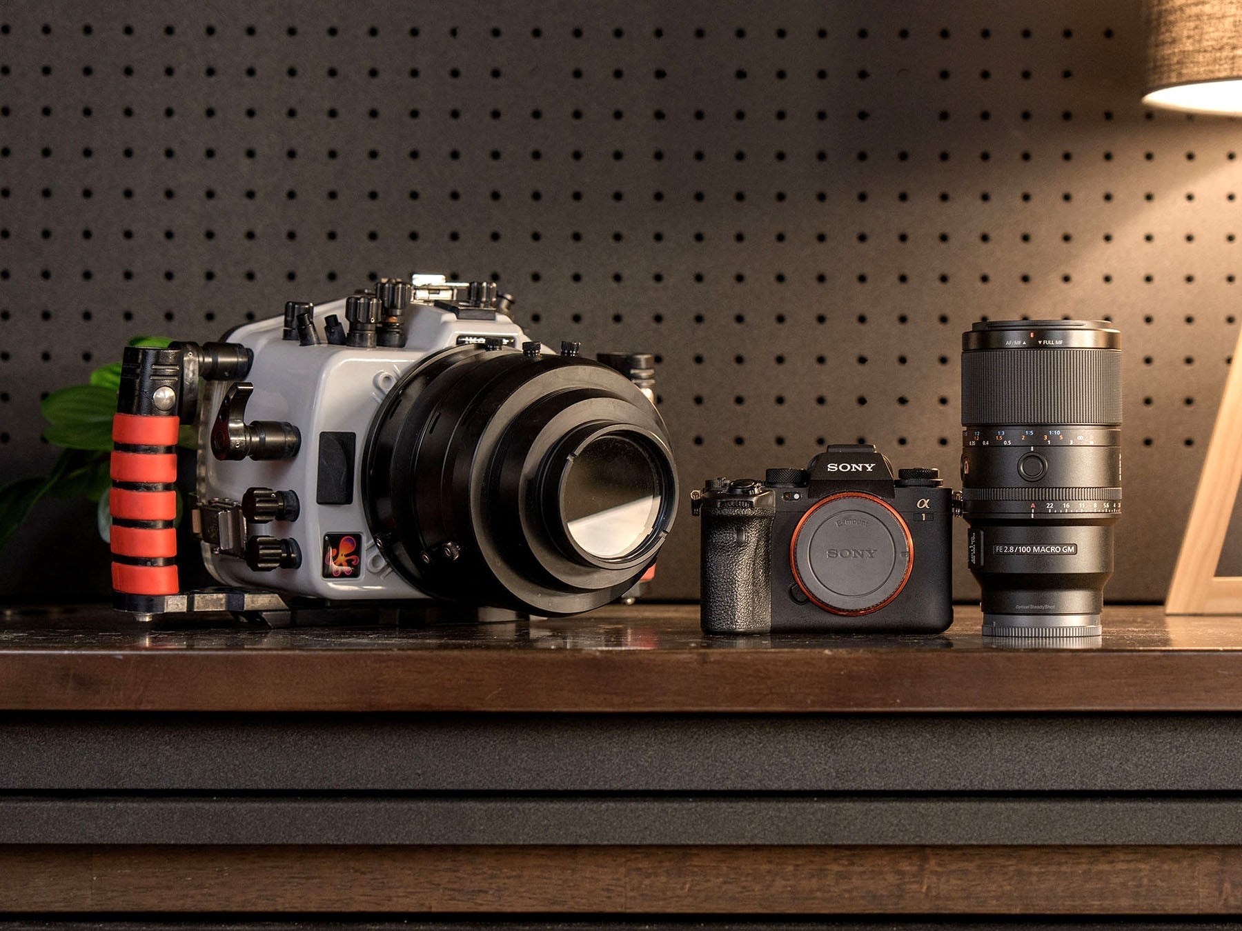 The New Sony FE 100mm f/2.8 Macro GM Lens: Must-Have for Underwater Ma