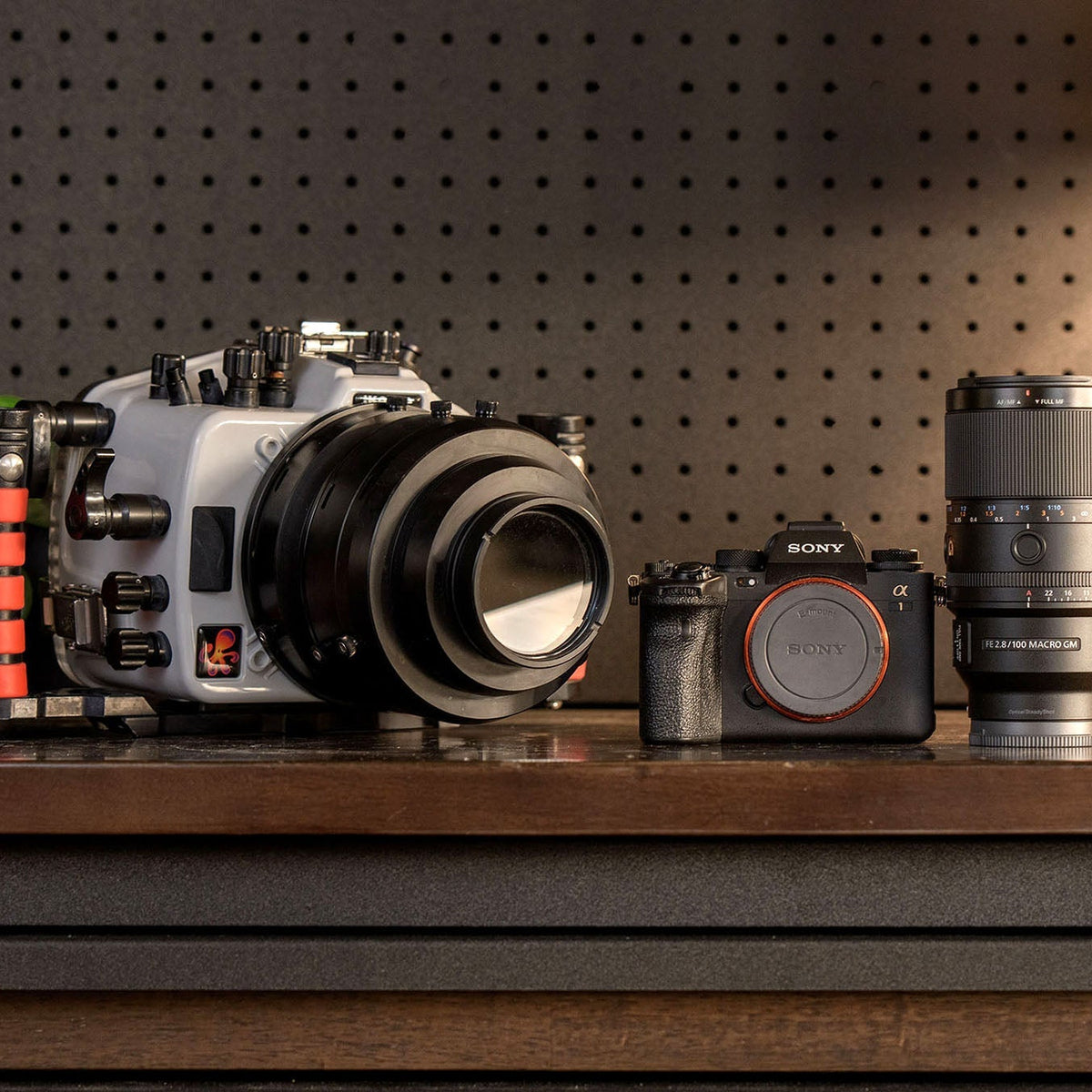 The New Sony FE 100mm f/2.8 Macro GM Lens: Must-Have for Underwater Ma