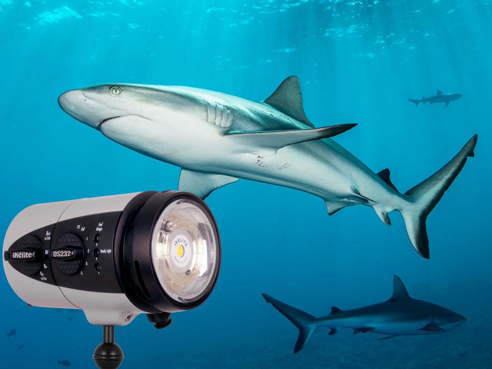 Sony a1 II + DS232 Hybrid Strobes Underwater in Micronesia