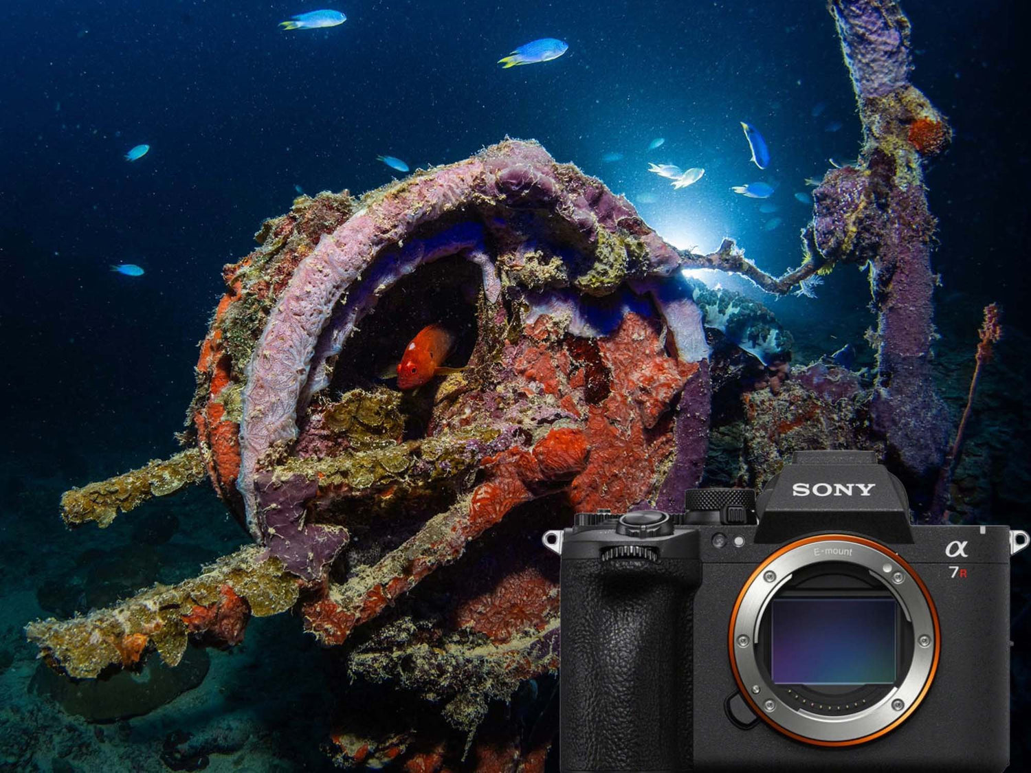 Sony a7R VI + RC232 Underwater in Truk Lagoon // AMAZING First Results