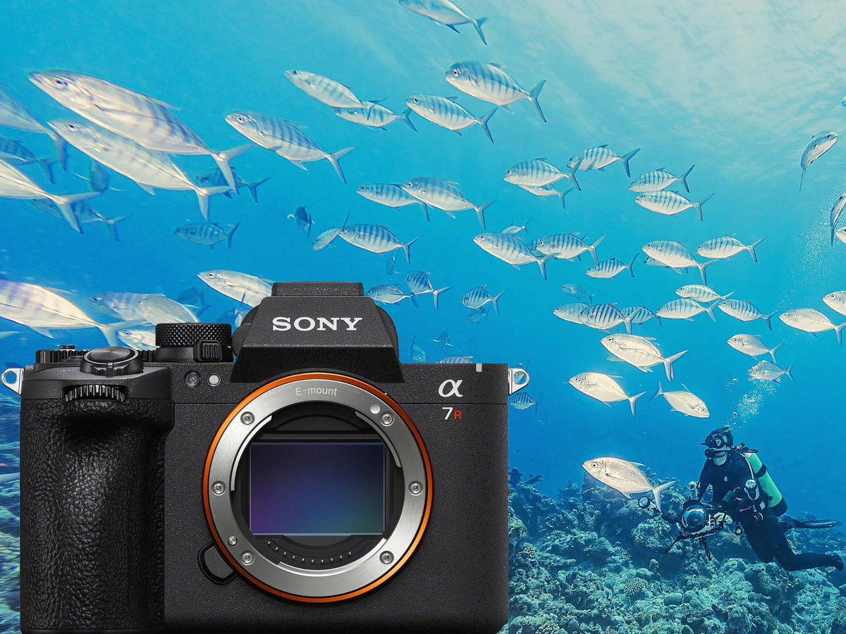 Sony a7R VI Underwater Full Review... Worth the Upgrade??? [VIDEO]