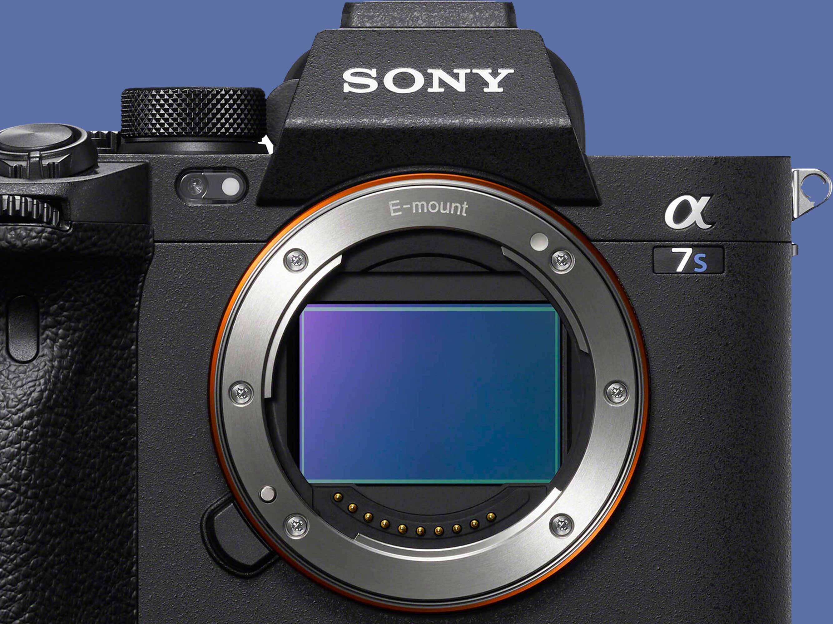 sony a6000 pictures
