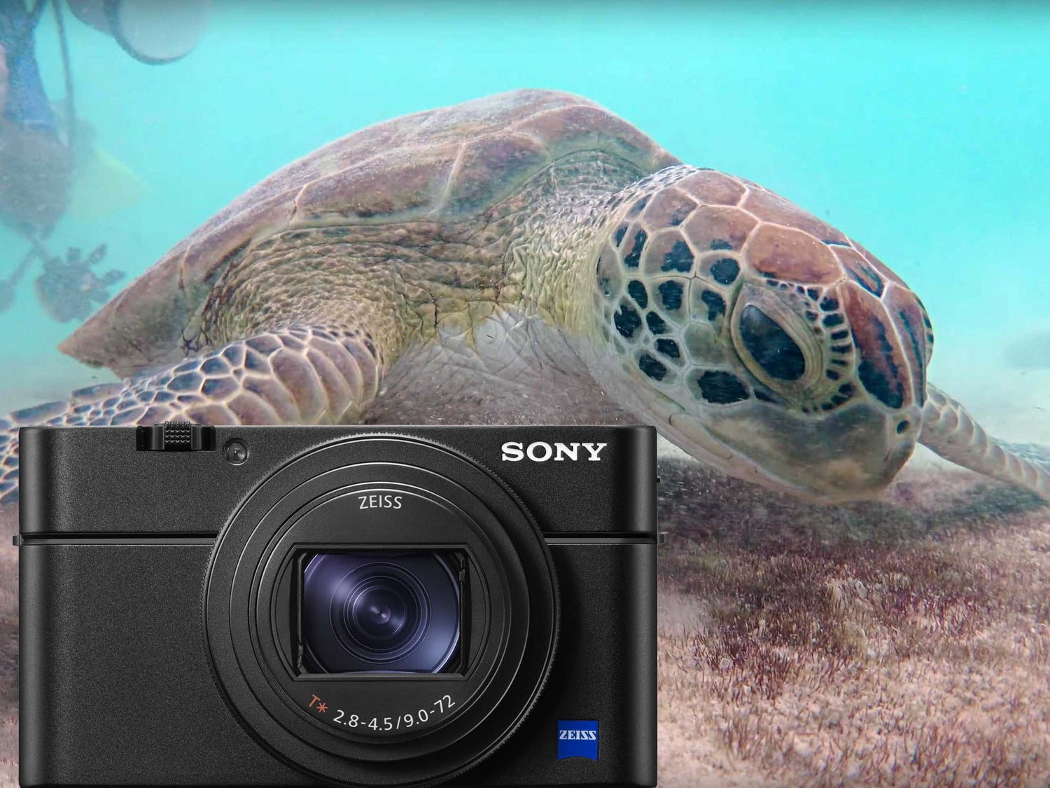 Sony Cyber-shot RX100 VI Underwater in 4K [VIDEO]