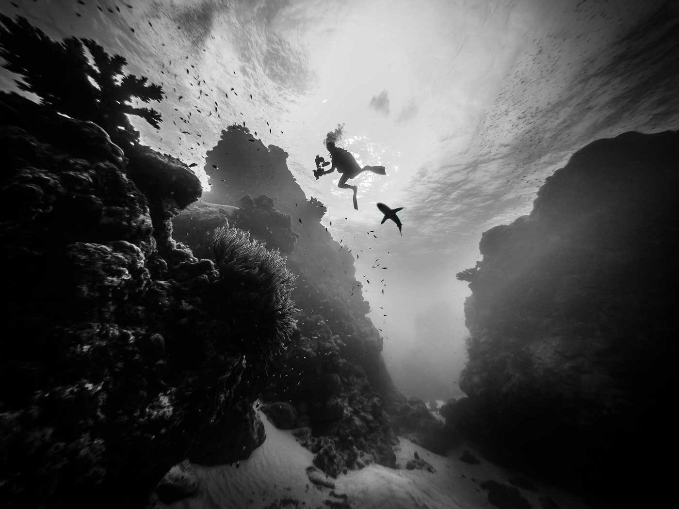 Black and White Conversion for Underwater Photography