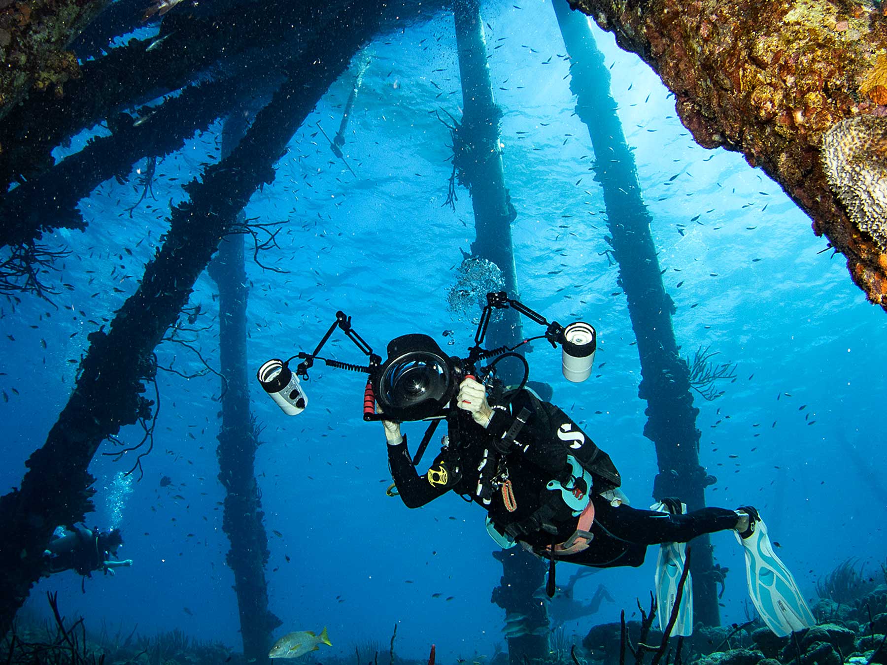 When to Change Shutter Speed Underwater