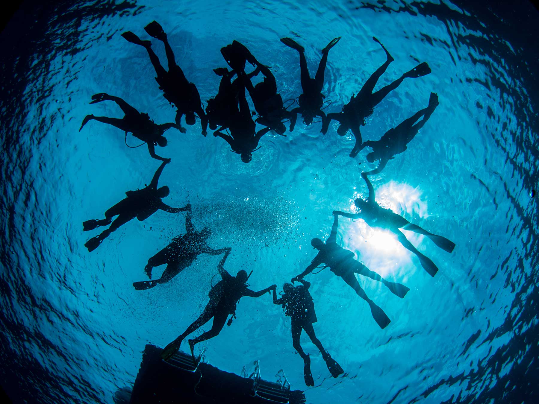 Silhouettes Underwater Camera Settings and Technique