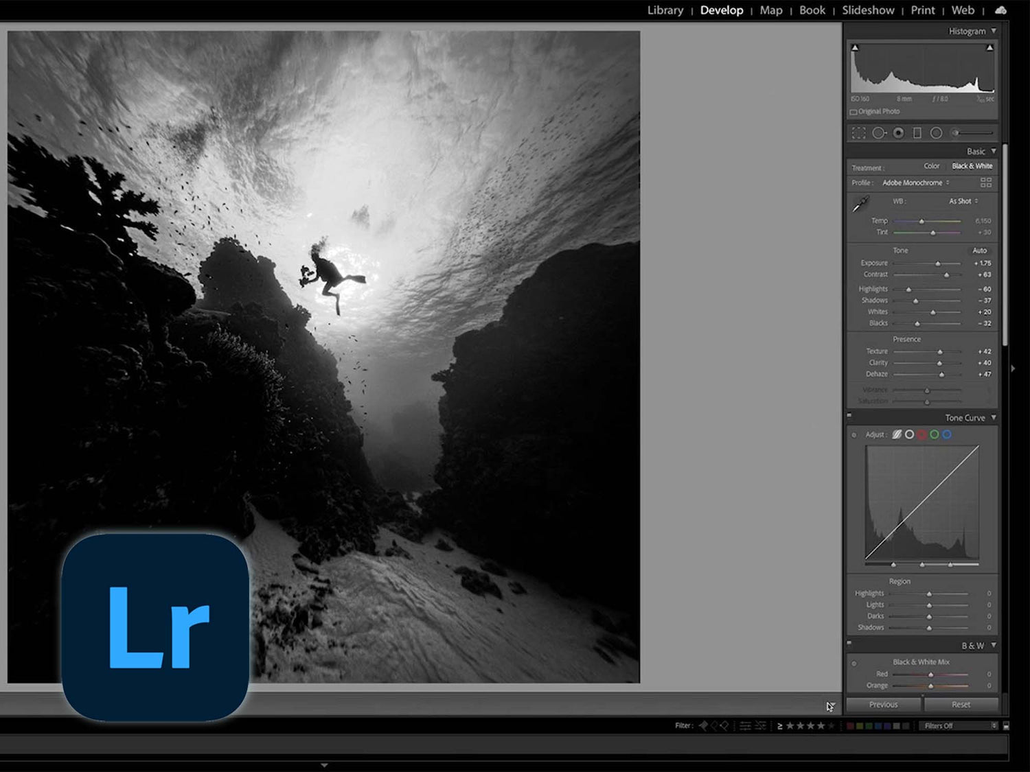 Underwater Photo Editing: Trash to Treasure Using Lightroom [VIDEO]
