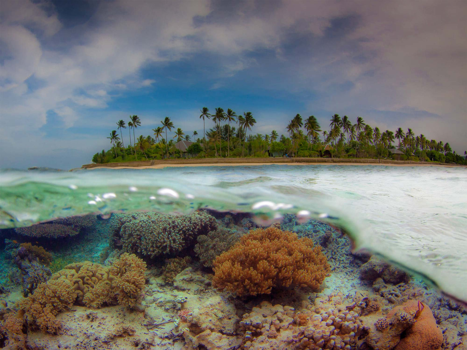 Why Wakatobi Should Be On Your Bucket List