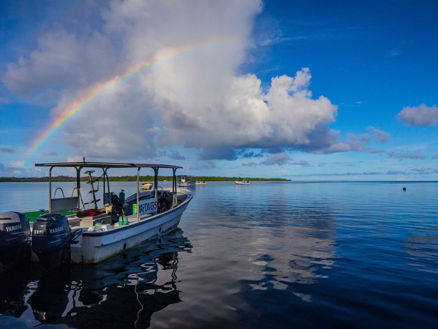 Yap, Micronesia Underwater Photography