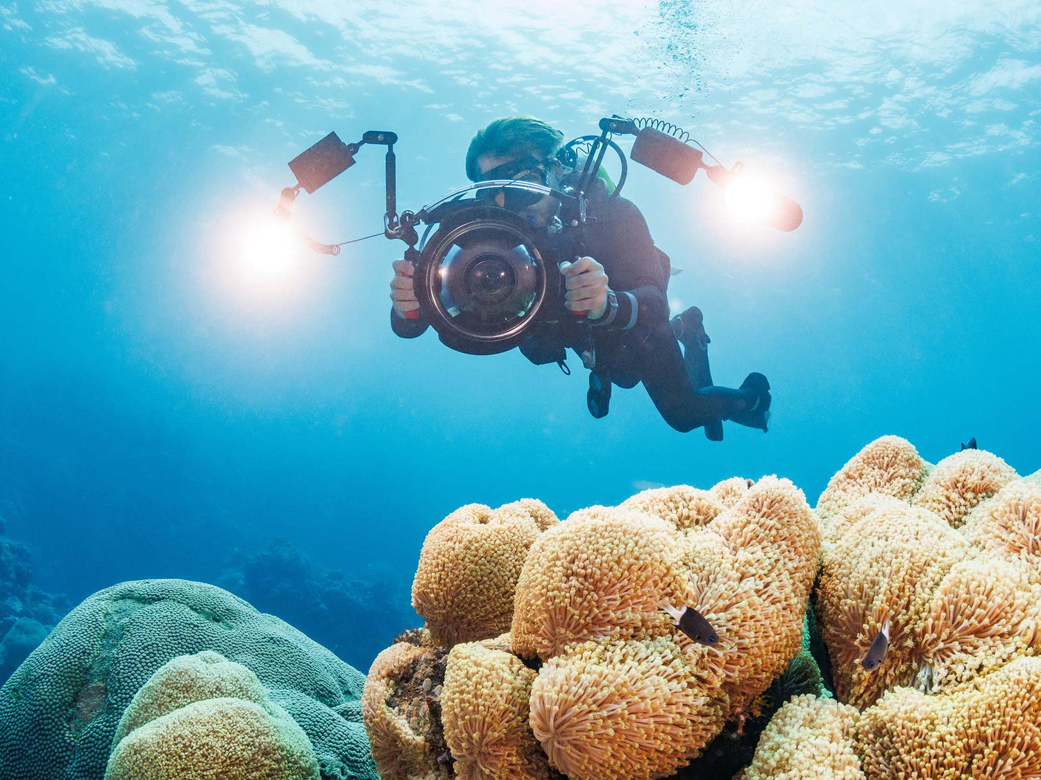 Best Underwater Video Cameras Right Now [VIDEO]