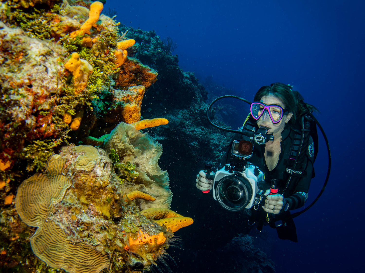 Quick & Dirty Tips for Shooting Underwater Video