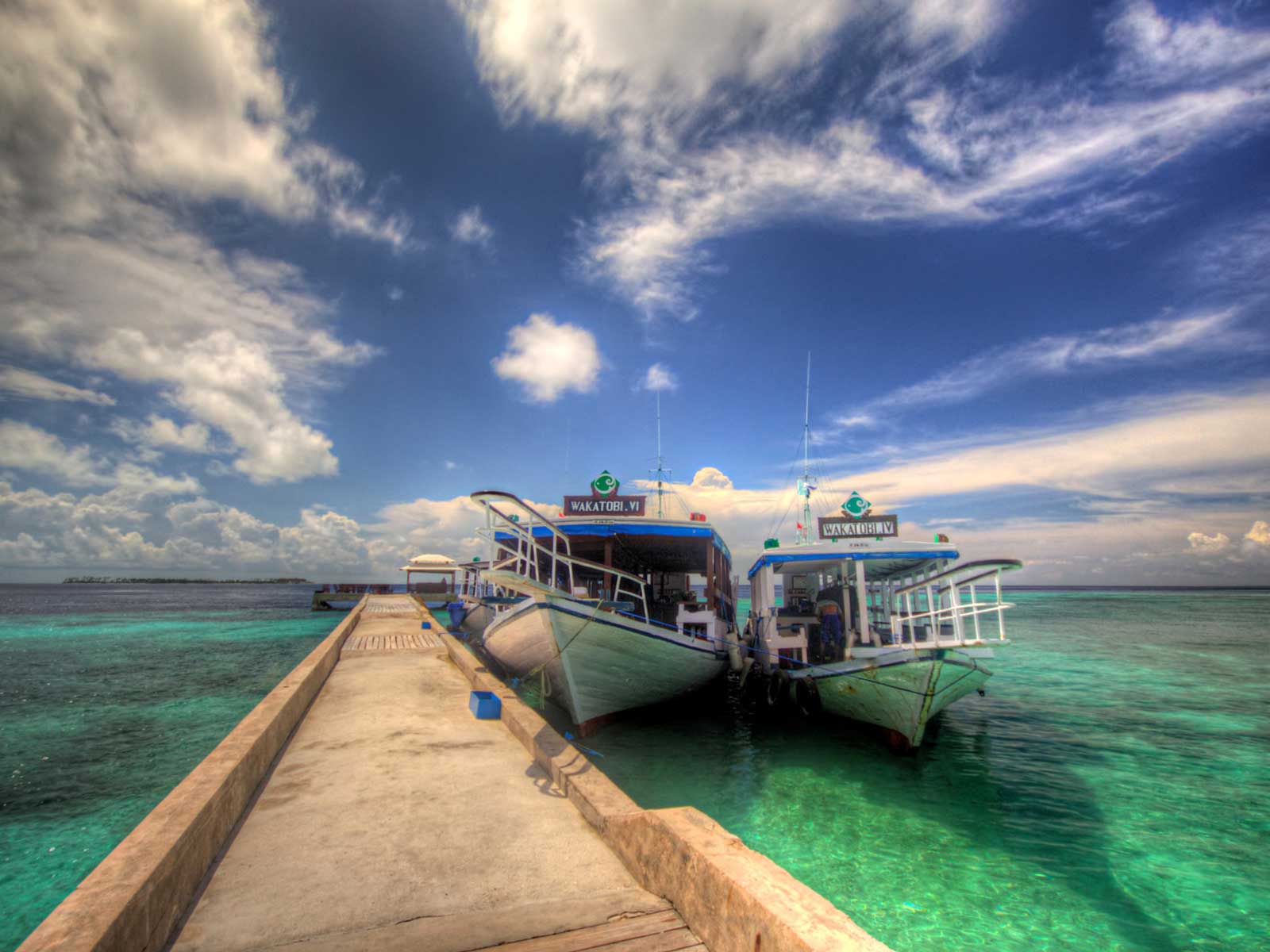 An Insiders Guide to Diving Wakatobi Resort Indonesia