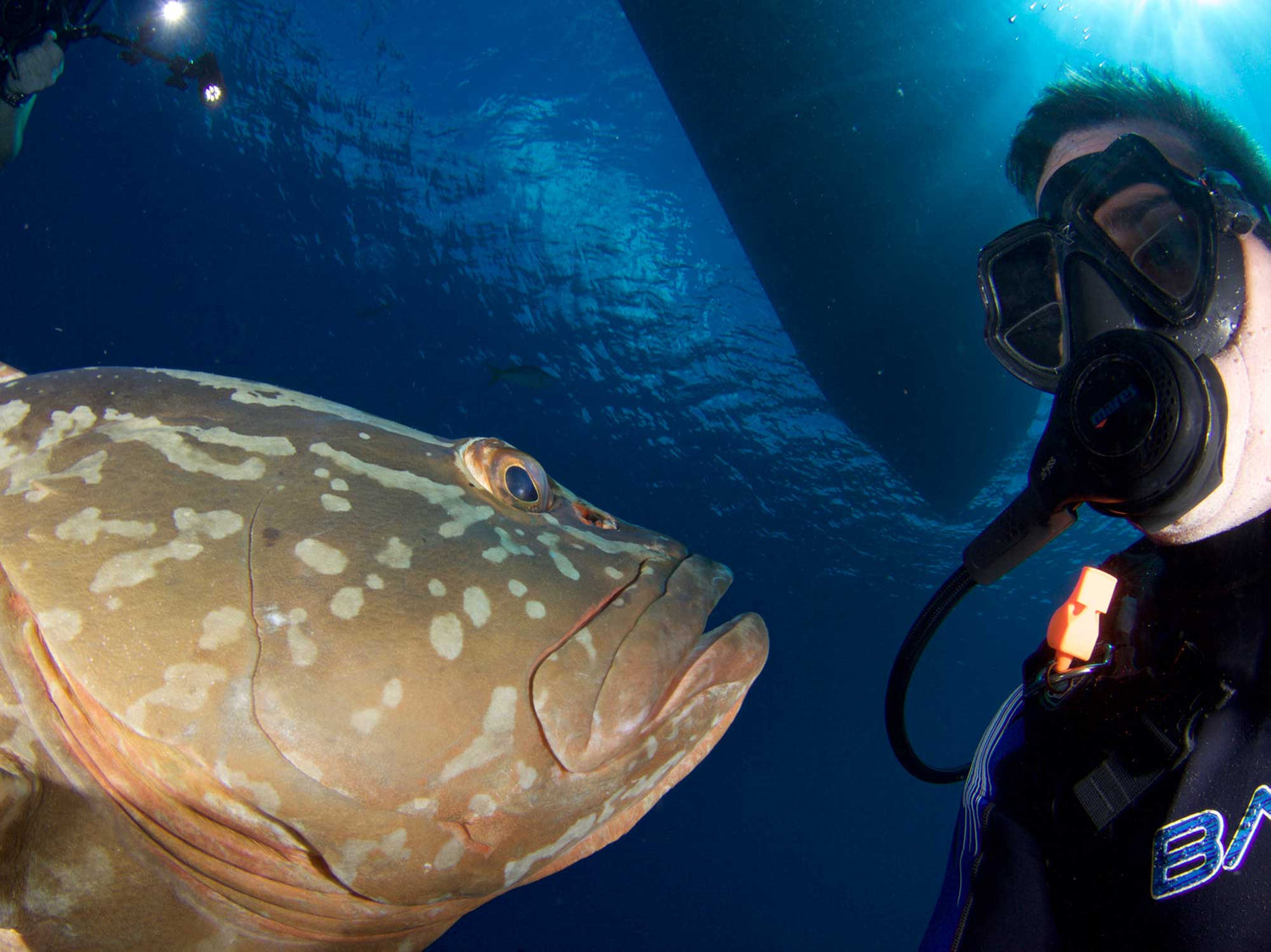 What I Wish I Knew When I Started in Underwater Photography [VIDEO]