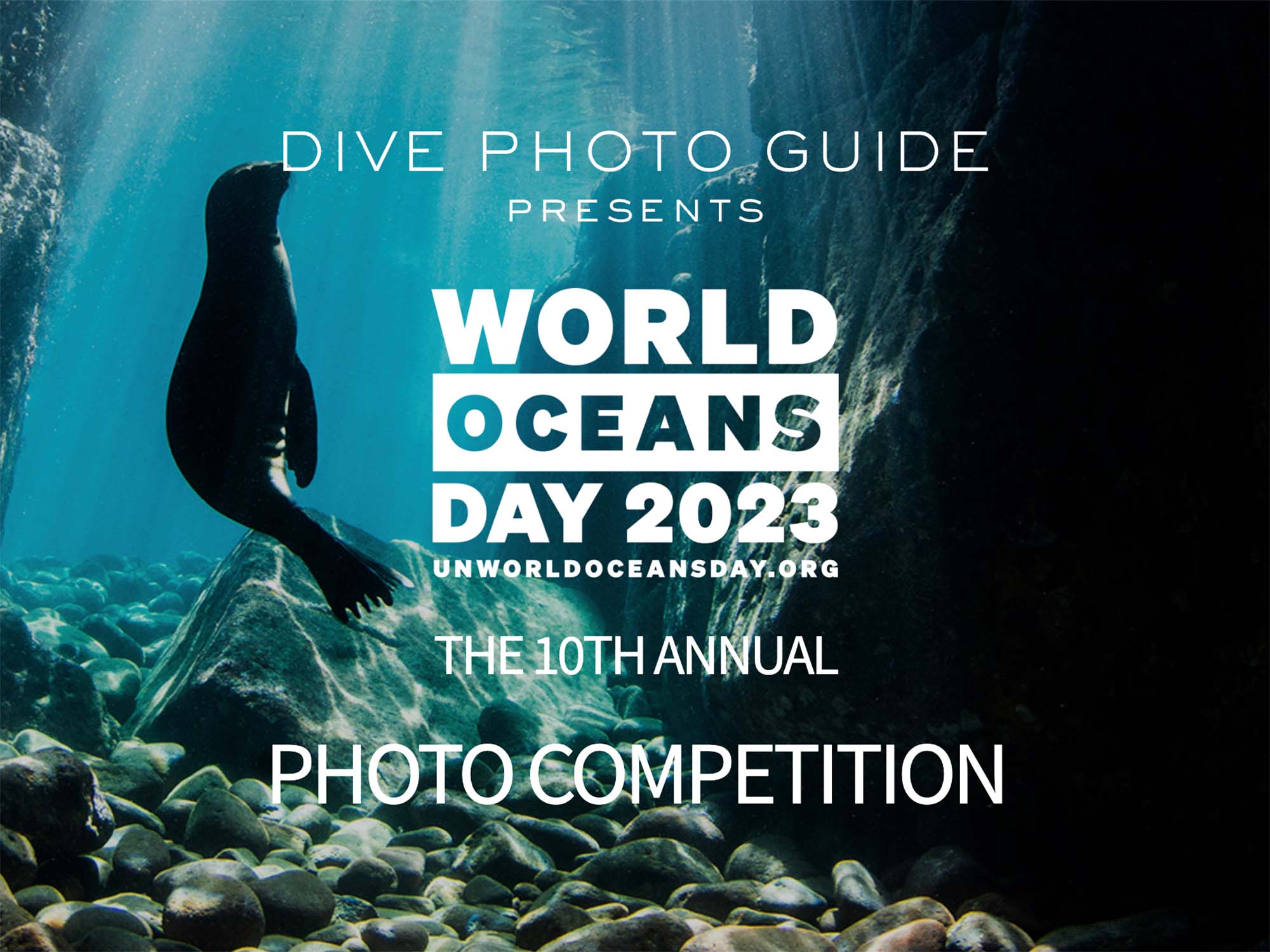 Competition | World Oceans Day 2023 Photo Competition