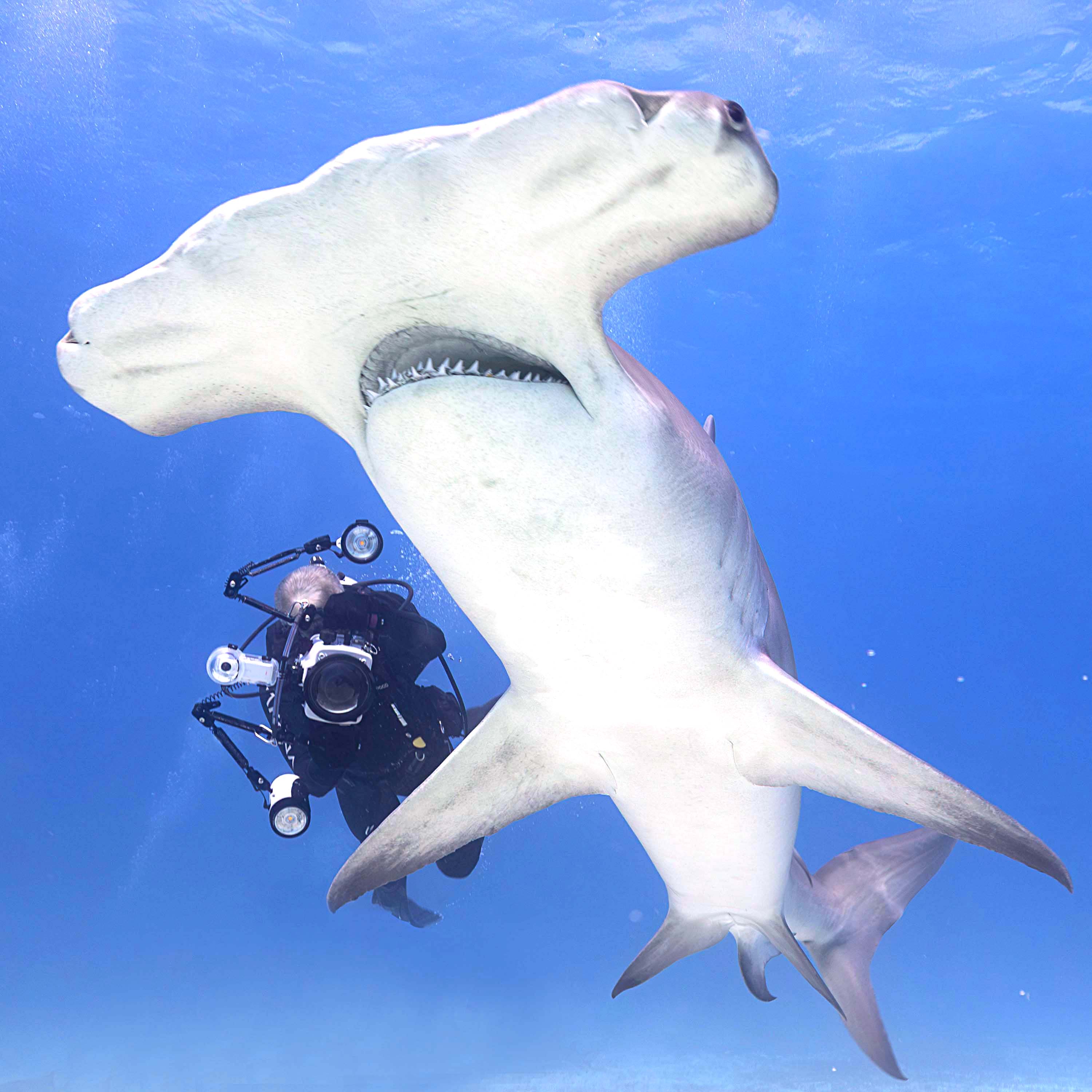 Ikelite RC232 TTL Underwater Strobe with Video Light Fiber Optic