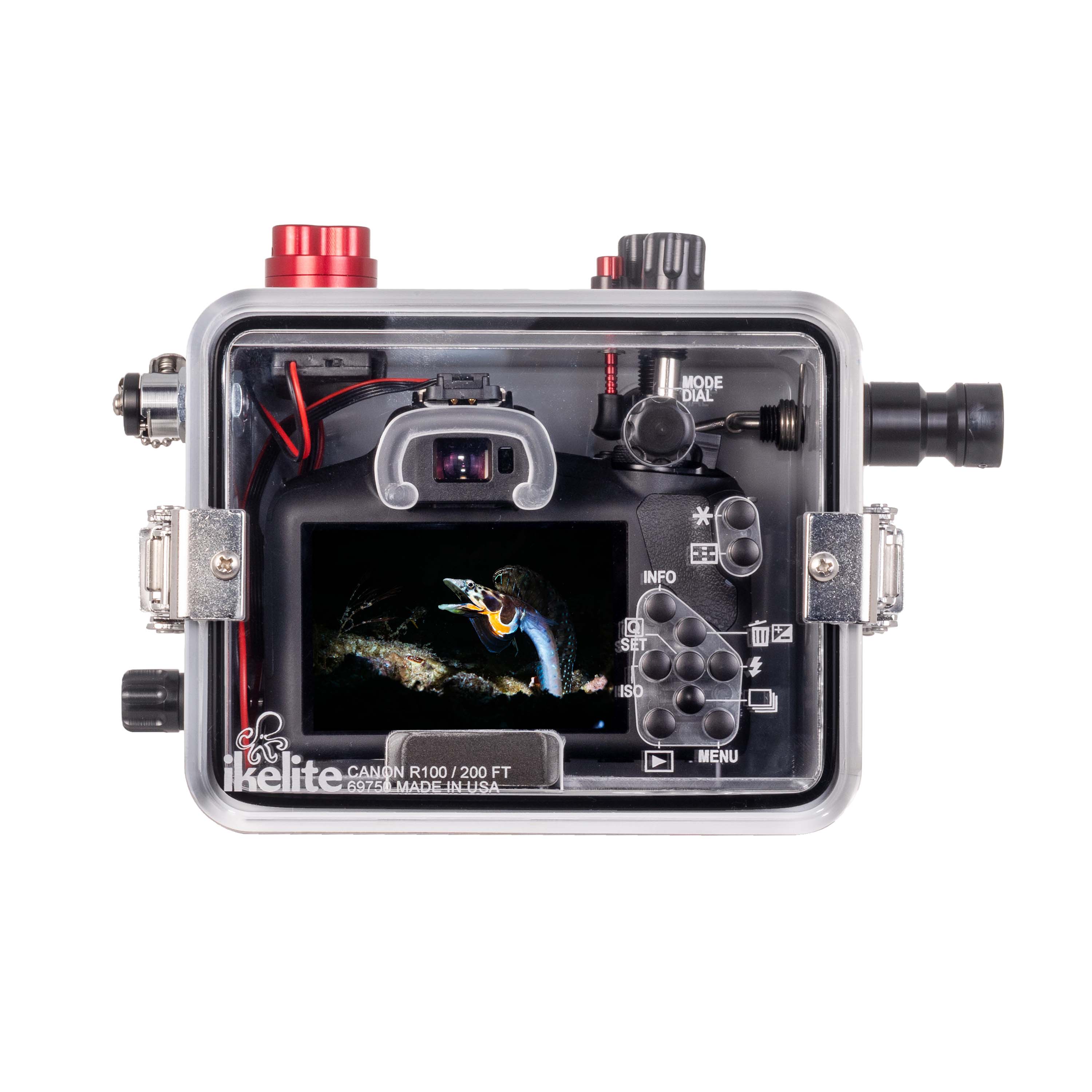 Ikelite 200DLM/D Underwater Housing for Canon EOS R100 [Fiber Optic Update]