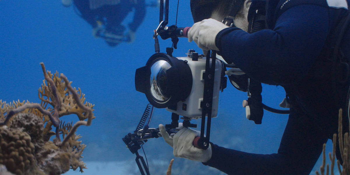 Underwater Housings for Canon EOS R10