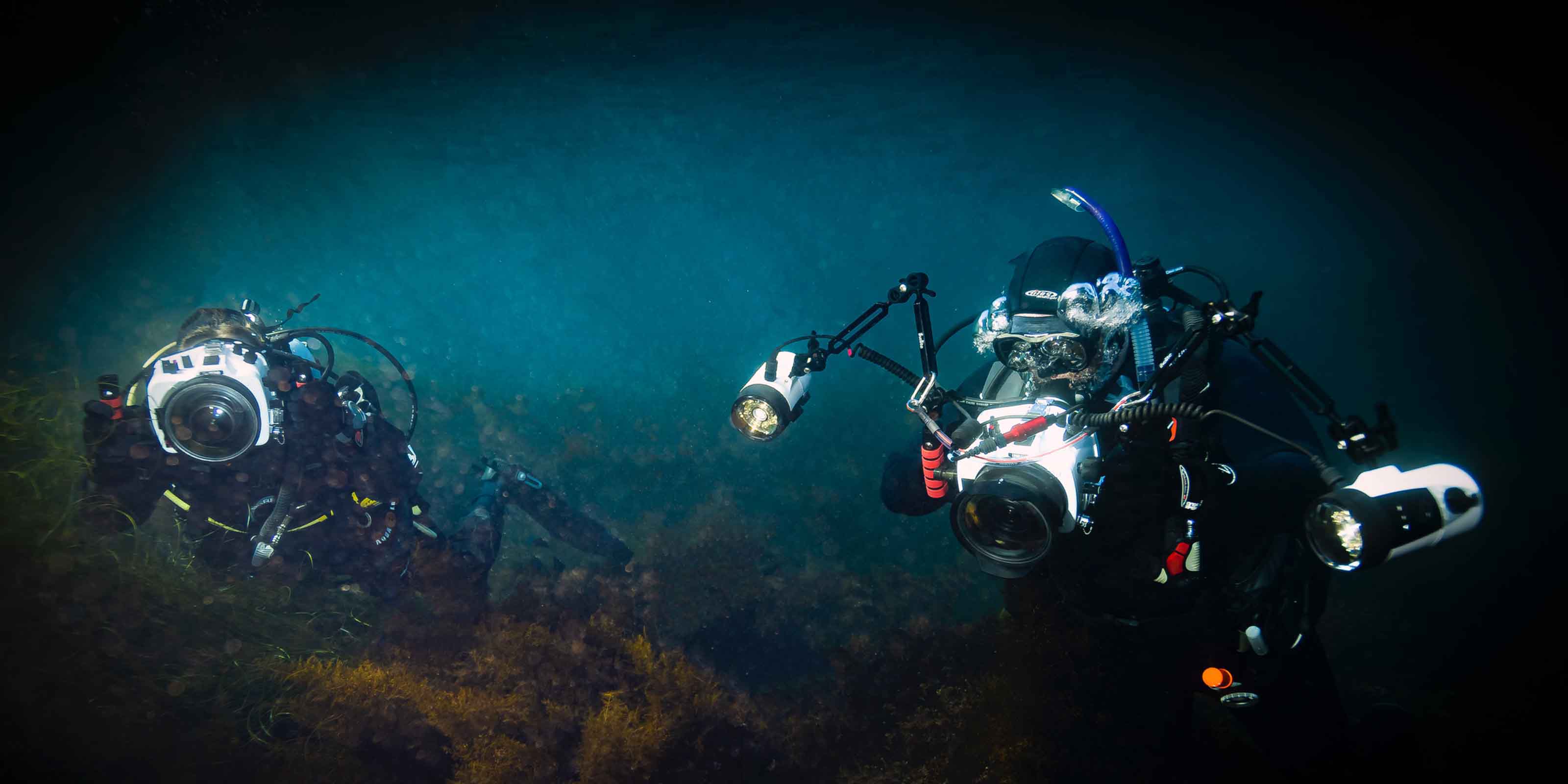 Ikelite underwater housings for Canon EOS R5 and EOS R6 diving off the coast of Catalina Island California