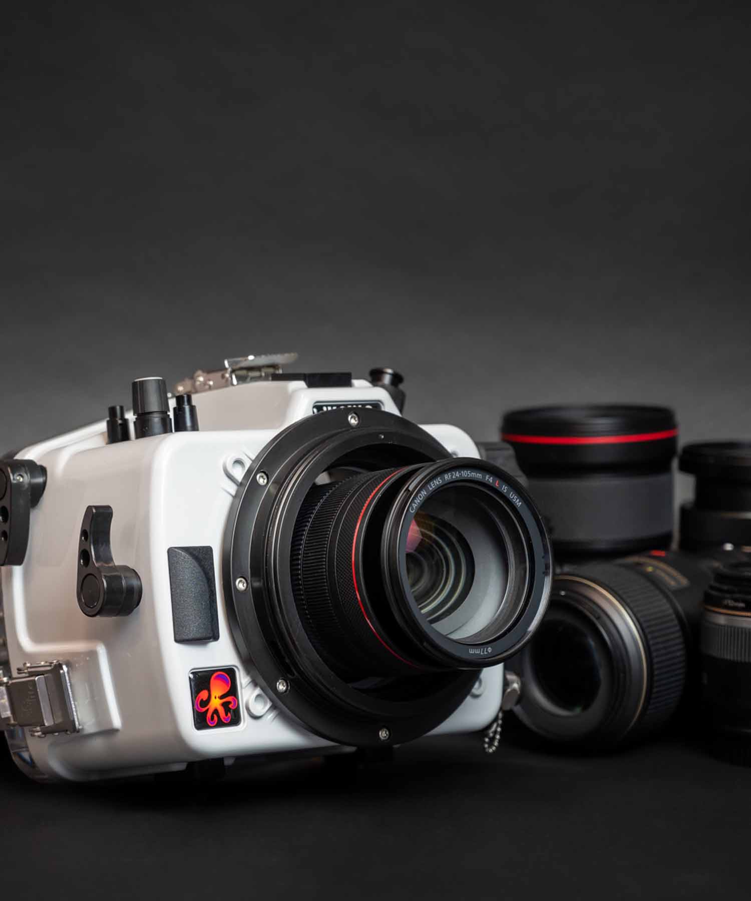 Best lenses for use with Ikelite 200DL underwater housing