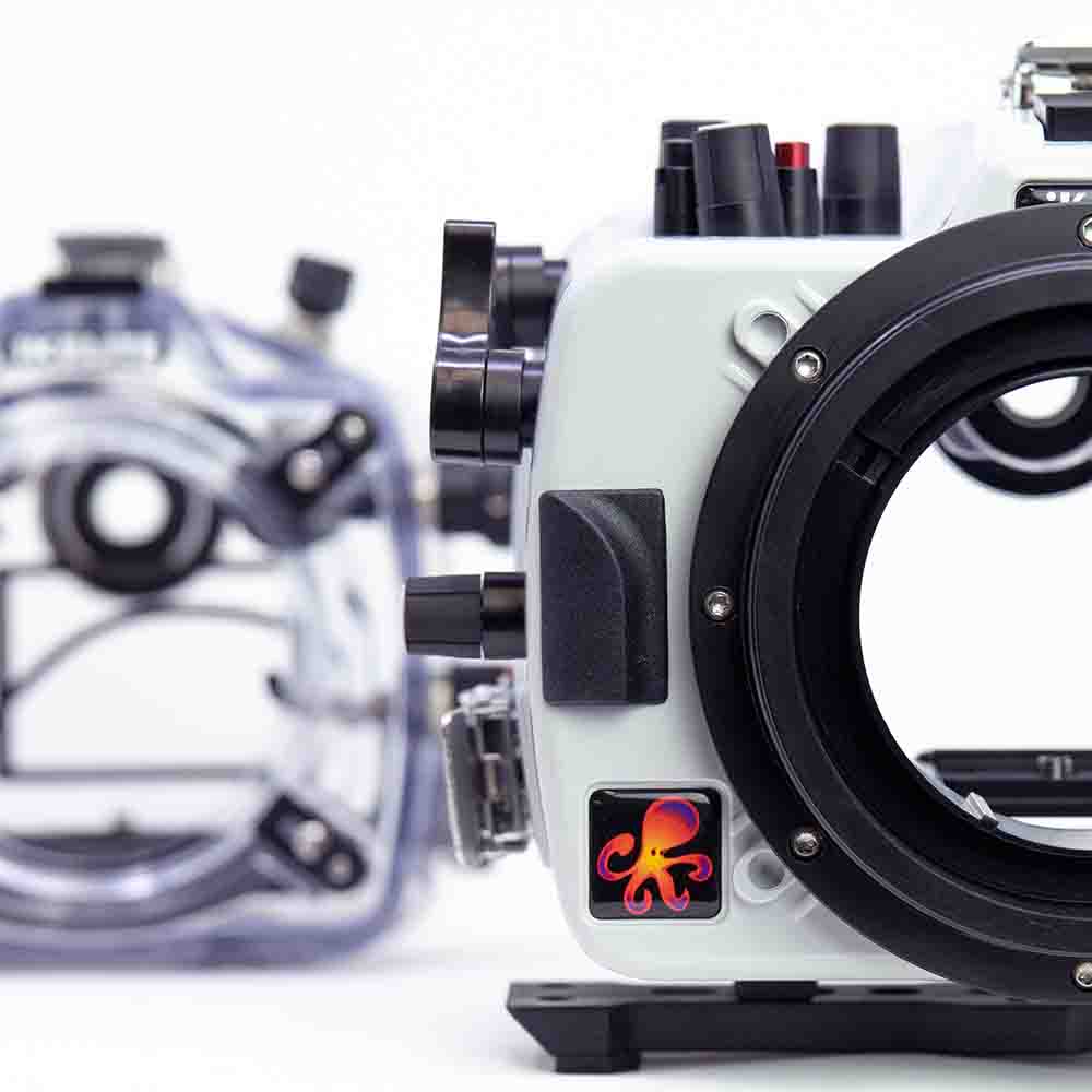 NikomatFT&NIKKOR Hauto28mmセット Nikon Z8 and Ikelite 200DL Underwater Housing - YouTube