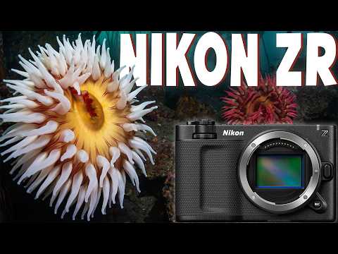 200DL Underwater Housing for Nikon ZR 6K Cinema Camera