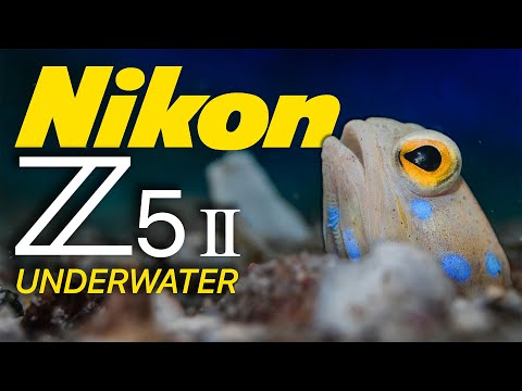 200DL Underwater Housing for Nikon Z5 II Deluxe Version with Handles,