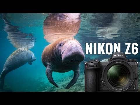 200DL Underwater Housing for Nikon Z6, Z6 II, Z7, Z7 II Mirrorless Dig